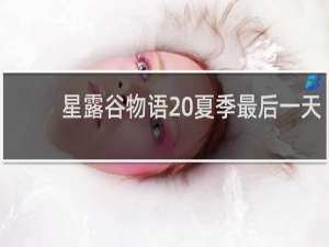 星露谷物语 夏季最后一天