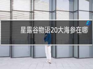 星露谷物语 大海参在哪