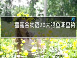 星露谷物语 大眼鱼哪里钓