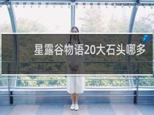 星露谷物语 大石头哪多