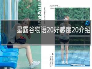 星露谷物语 好感度 介绍