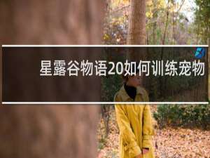 星露谷物语 如何训练宠物