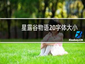 星露谷物语 字体大小