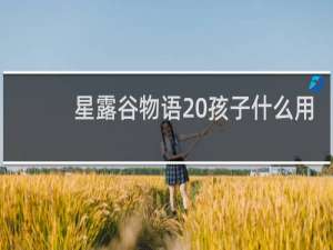 星露谷物语 孩子什么用