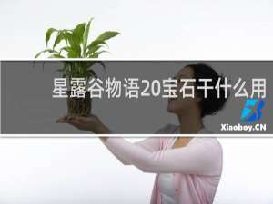 星露谷物语 宝石干什么用