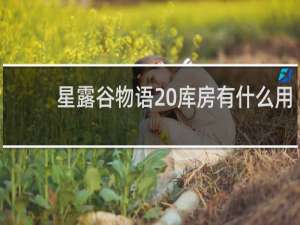 星露谷物语 库房有什么用