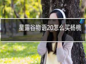 星露谷物语 怎么买杨桃