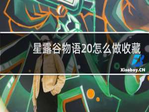 星露谷物语 怎么做收藏