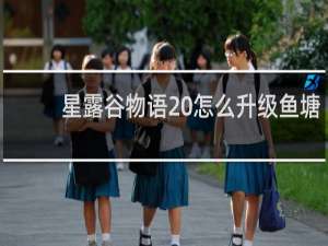 星露谷物语 怎么升级鱼塘