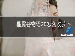 星露谷物语 怎么收萝卜