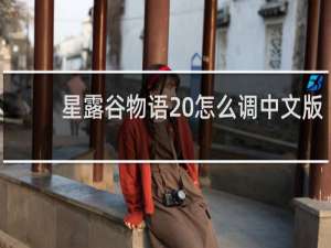 星露谷物语 怎么调中文版