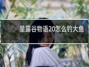 星露谷物语 怎么钓大鱼