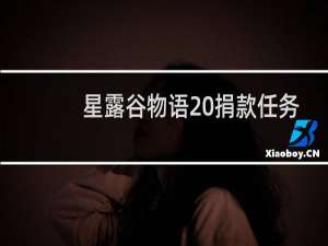 星露谷物语 捐款任务