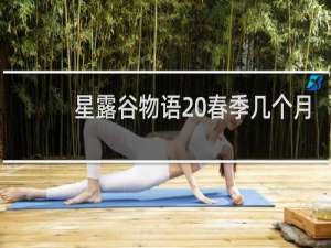 星露谷物语 春季几个月
