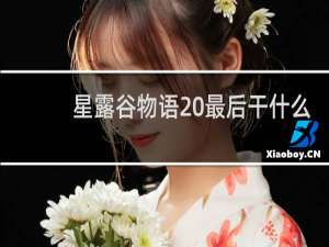 星露谷物语 最后干什么