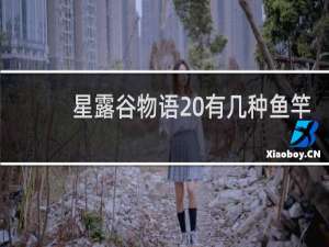星露谷物语 有几种鱼竿