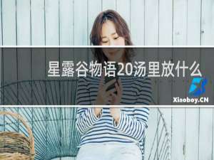 星露谷物语 汤里放什么