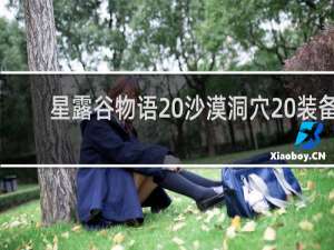 星露谷物语 沙漠洞穴 装备