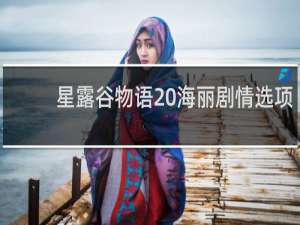 星露谷物语 海丽剧情选项