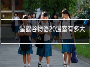 星露谷物语 温室有多大