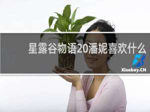 星露谷物语 潘妮喜欢什么