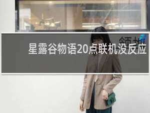 星露谷物语 点联机没反应