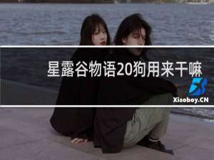 星露谷物语 狗用来干嘛