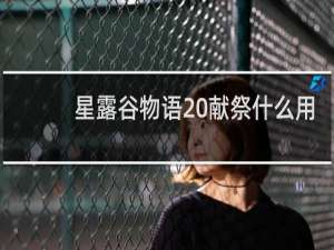 星露谷物语 献祭什么用