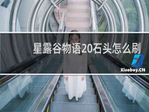 星露谷物语 石头怎么刷