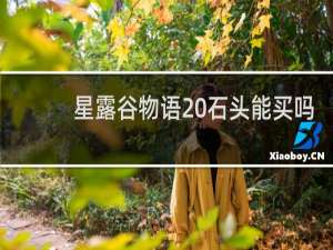 星露谷物语 石头能买吗