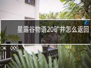 星露谷物语 矿井怎么返回