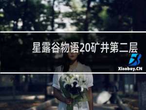 星露谷物语 矿井第二层