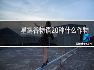 星露谷物语 种什么作物