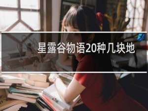 星露谷物语 种几块地