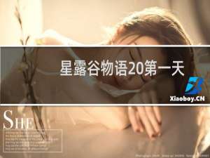 星露谷物语 第一天