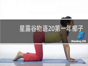 星露谷物语 第一年椰子