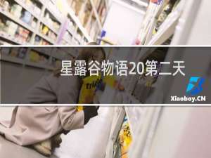 星露谷物语 第二天