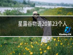 星露谷物语 第23个人