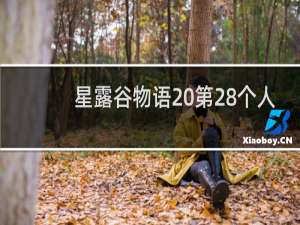 星露谷物语 第28个人