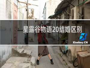 星露谷物语 结婚区别