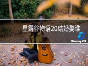 星露谷物语 结婚娶谁
