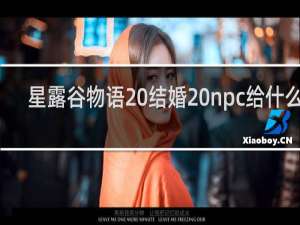星露谷物语 结婚 npc给什么用