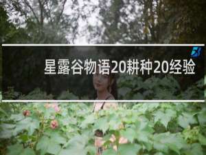 星露谷物语 耕种 经验