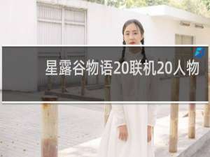 星露谷物语 联机 人物