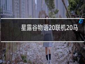 星露谷物语 联机 马