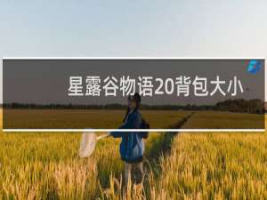 星露谷物语 背包大小