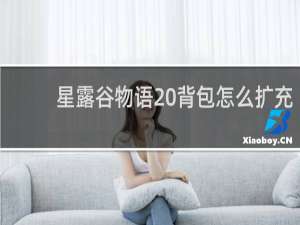 星露谷物语 背包怎么扩充