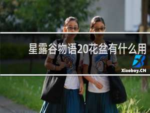星露谷物语 花盆有什么用