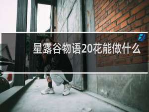 星露谷物语 花能做什么