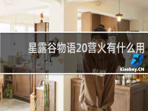 星露谷物语 营火有什么用